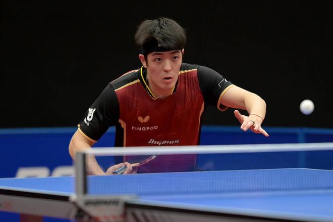 紫金色的海 紫金色的海